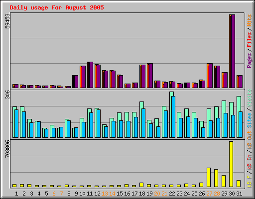 Daily usage for August 2005