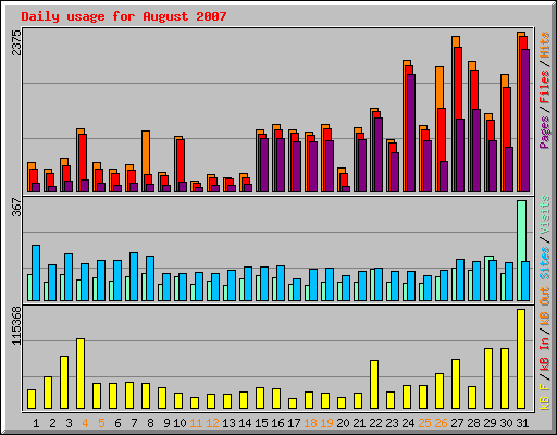 Daily usage for August 2007