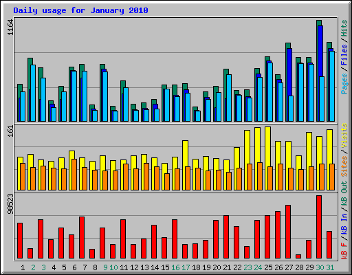 Daily usage for January 2010