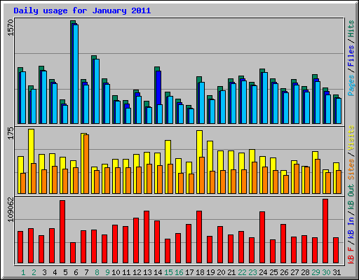 Daily usage for January 2011