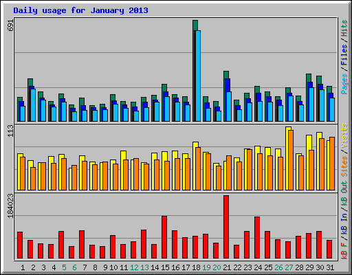 Daily usage for January 2013