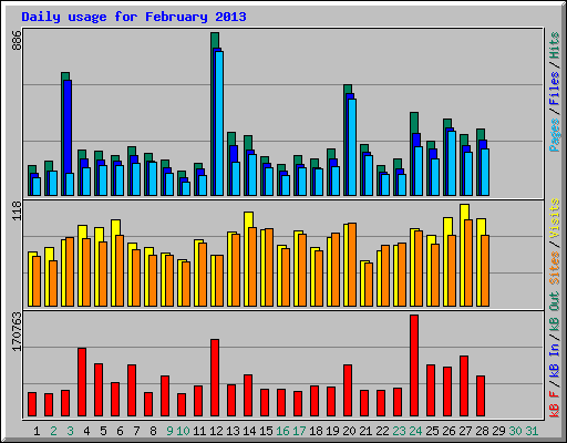 Daily usage for February 2013