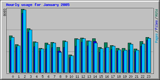 Hourly usage for January 2005