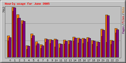 Hourly usage for June 2005