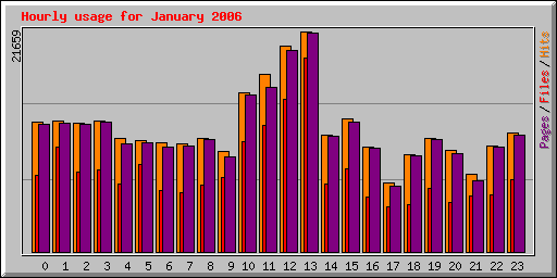 Hourly usage for January 2006