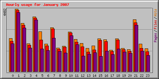 Hourly usage for January 2007