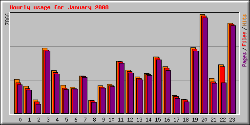 Hourly usage for January 2008