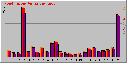 Hourly usage for January 2009