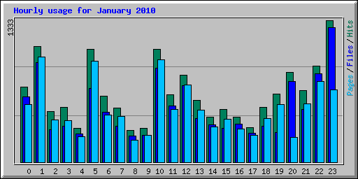 Hourly usage for January 2010