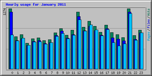 Hourly usage for January 2011