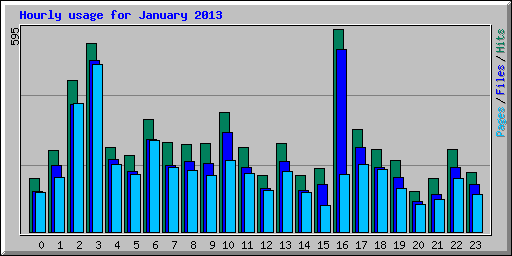 Hourly usage for January 2013