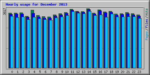 Hourly usage for December 2013